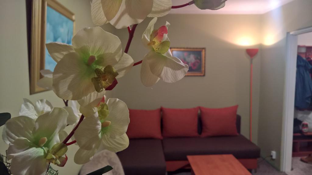 Apartament Konopnicka Augustow Bagian luar foto